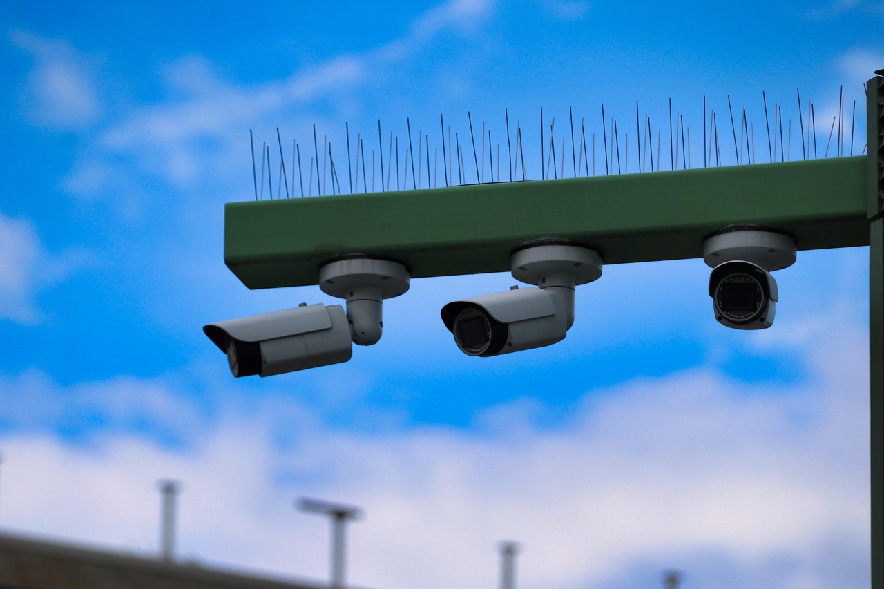 大航海之路：正在详情下载教程app