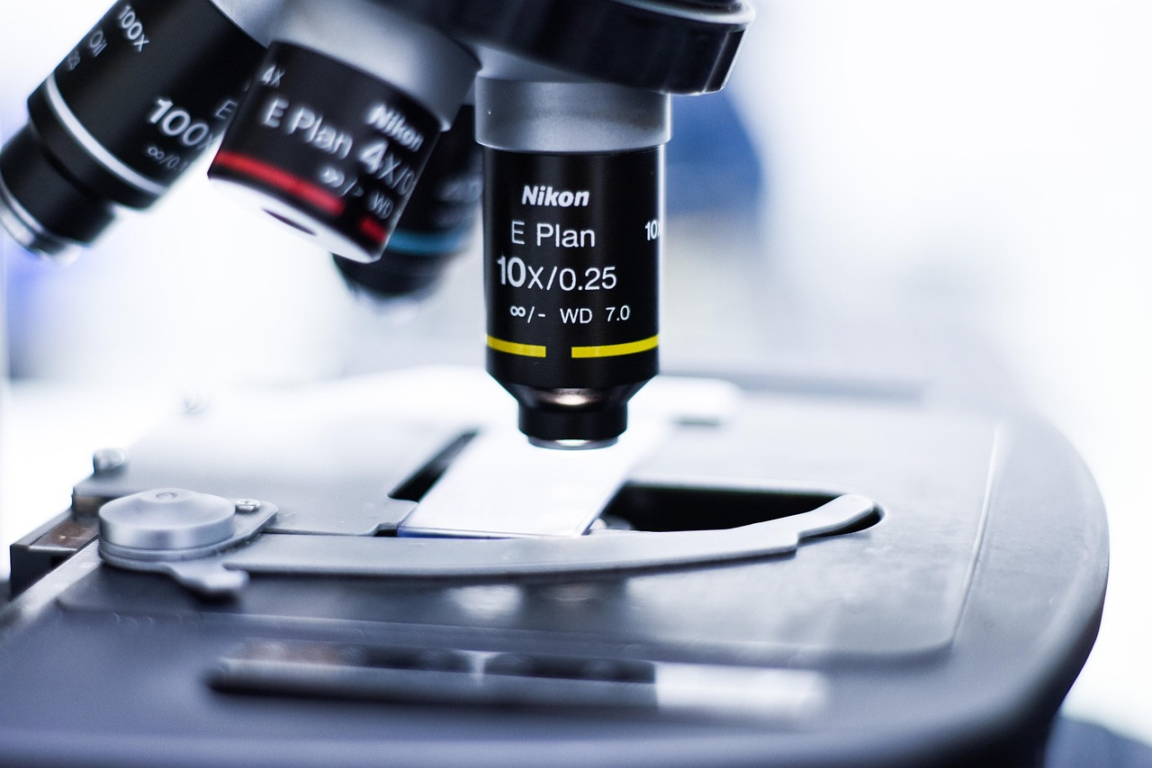 DDOS在线压力测试|淄博代理记账平台